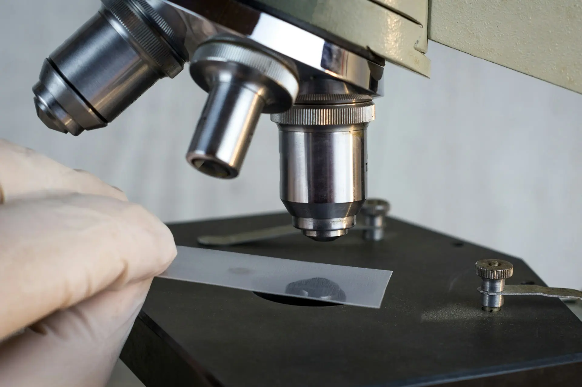 In-House Lab