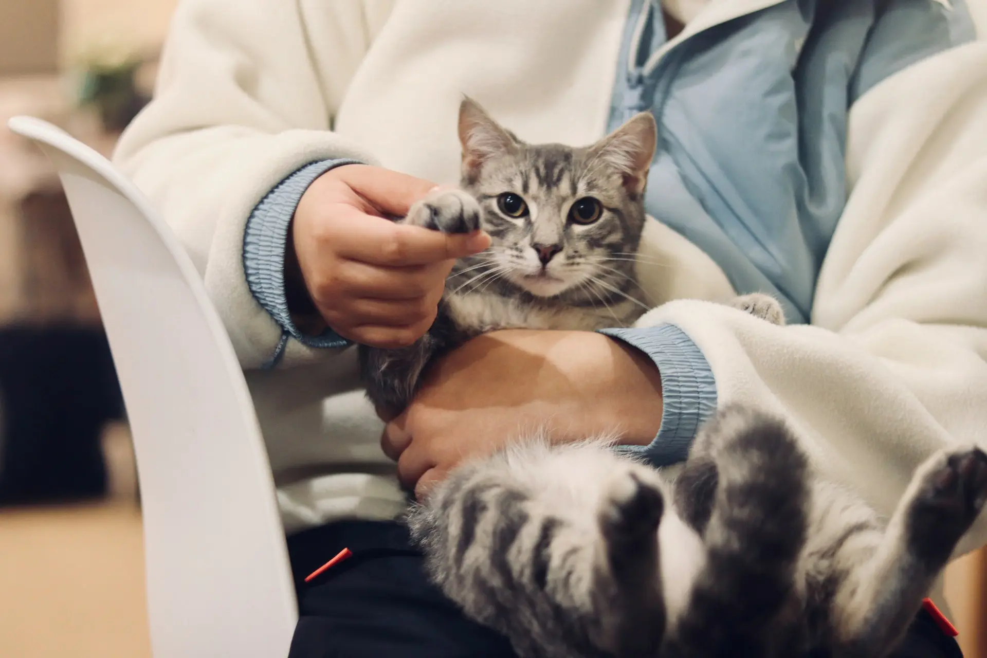 Preventative Pet Care