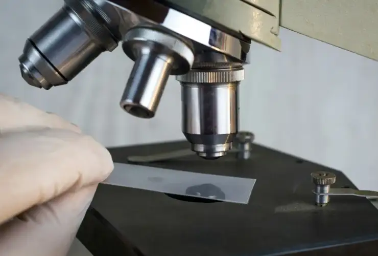 In-House Lab
