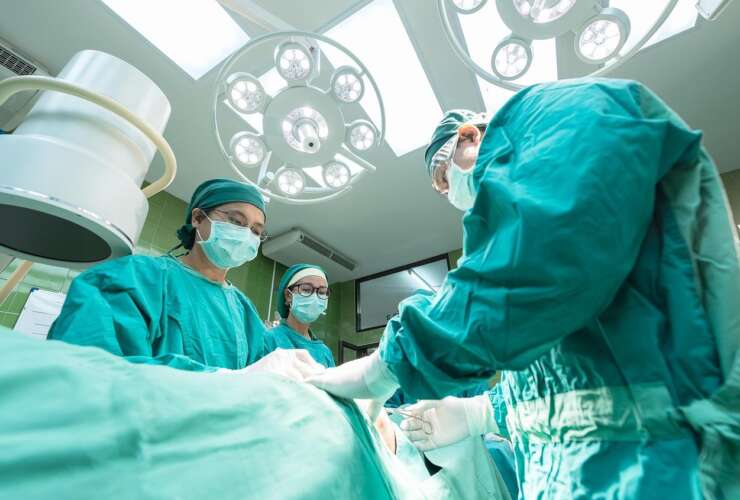 Pet Surgery