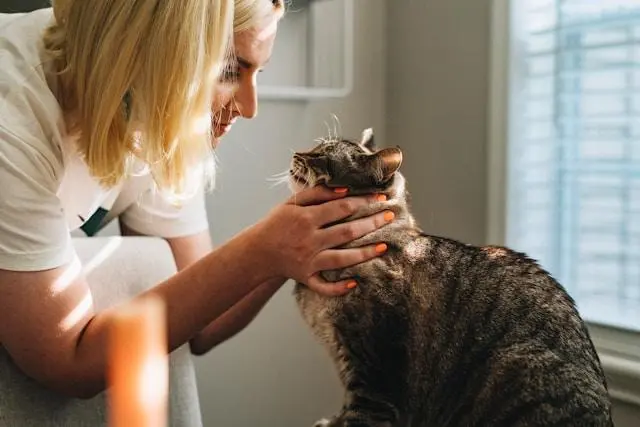 Taking Care Of Your Pet at Lakeside Pet Hospital